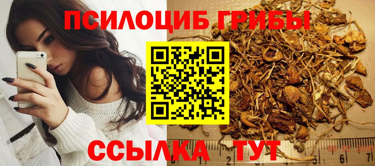 Усинск  Псилоцибиновые грибы Psilocybe  цена наркотик  Вход с VPN 